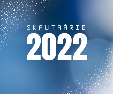 Skautaárið 2022